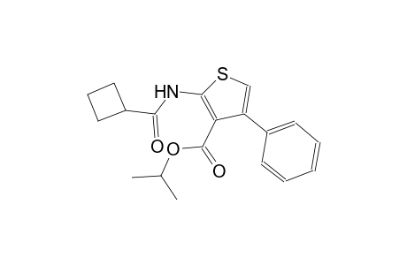 isopropyl 2-[(cyclobutylcarbonyl)amino]-4-phenyl-3-thiophenecarboxylate