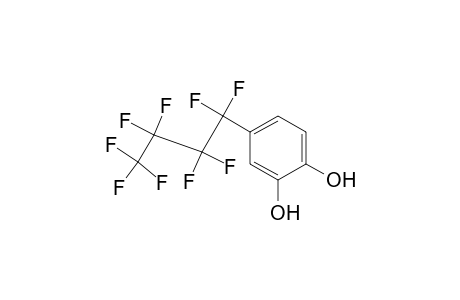 4-Perfluorobutyl-1,2-benzenediol