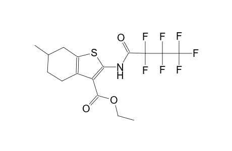 ethyl 2-[(2,2,3,3,4,4,4-heptafluorobutanoyl)amino]-6-methyl-4,5,6,7-tetrahydro-1-benzothiophene-3-carboxylate