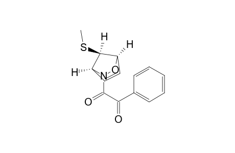 (1R,7R,4S)-7-(Methylthio)-3-(oxophenylacetyl)-2-oxa-3-azabicycklo[2.2.1]hept-5-ene