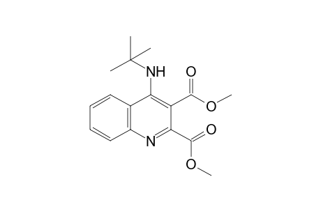 Dimethyl 4-(tert-butylamino)quinoline-2,3-dicarboxylate