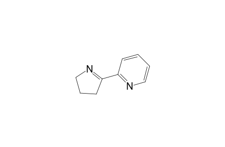 2-(3,4-dihydro-2H-pyrrol-5-yl)pyridine