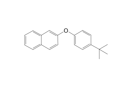 2-(4-(tert-butyl)phenoxy)naphthalene