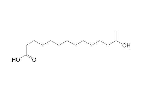 13-oxidanyltetradecanoic acid