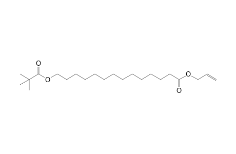 14-(2,2-Dimethyl-1-oxopropoxy)-2-methyleneethyltetradecanoate