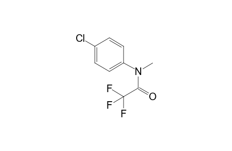 N-(4-Chlorophenyl)-2,2,2-trifluoro-N-methylacetamide