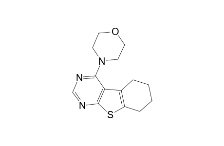 4-(MORPHOLIN-4-YL)-5,6,7,8-TETRAHYDRO-[1]-BENZO-THIENO-[2,3-D]-PYRIMIDINE