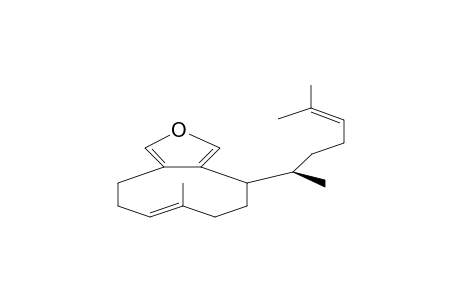 DICTYOFURAN T