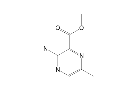 3-AMINO-6-METHYLPYRAZINECARBOXYLIC ACID, METHYL ESTER