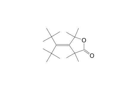 2(3H)-Furanone, 4-[1-(1,1-dimethylethyl)-2,2-dimethylpropylidene]dihydro-3,3,5,5-tetramethyl-