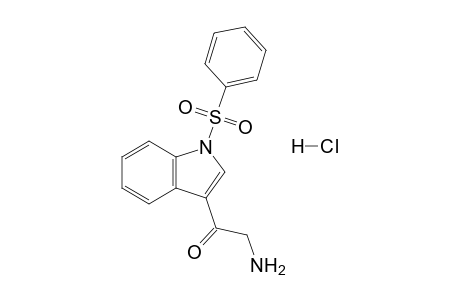 3-(2-Aminoacetyl)-1-phenylsulfonylindole hydrochloride