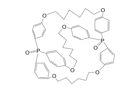 EXO-(P=O)-EXO-(P=O)