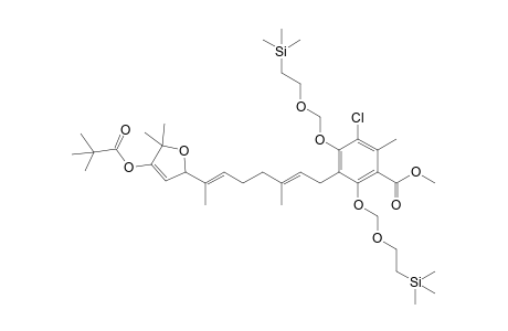 3-Chloro-5-[(2E,6E)-7-(5,5-dimethyl-4-pivaloyloxy-2H-furan-2-yl)-3-methyl-octa-2,6-dienyl]-2-methyl-4,6-bis(2-trimethylsilylethoxymethoxy)benzoic acid methyl ester