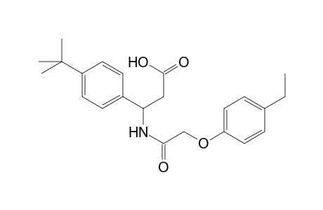 3-(4-tert-butylphenyl)-3-[2-(4-ethylphenoxy)ethanoylamino]propanoic acid