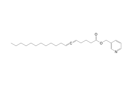3-Picolinyl octadeca-5,6-dienoate