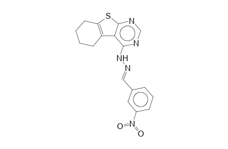 N-(3-Nitrobenzylidene)-N'-(5,6,7,8-tetrahydrobenzo[4,5]thieno[2,3-d]pyrimidin-4-yl)hydrazine