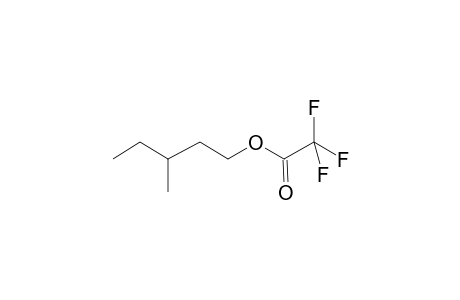 3-Methylpentan-1-yl trifluoroacetate