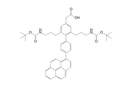 [2,6-Bis(3-tert-butyloxycarbonylaminopropyl)-4'-pyren-1-ylbiphenyl-4-yl]acetic acid