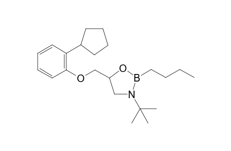 penbutolol-B-butyl-(N,B,O)cycloboronate derivative