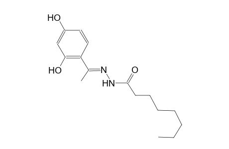 N'-[(E)-1-(2,4-dihydroxyphenyl)ethylidene]octanohydrazide