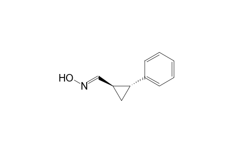 (1R,2R)-2-phenylcyclopropanecarbaldehyde oxime