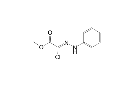 ethanoic acid, chloro(phenylhydrazono)-, methyl ester, (2Z)-