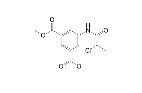 1,3-Benzenedicarboxylic acid, 5-[(2-chloro-1-oxopropyl)amino]-, dimethyl ester