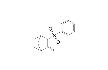 3-Methylene-2-(phenylsulfonyl)bicyclo[2.2.1]heptane