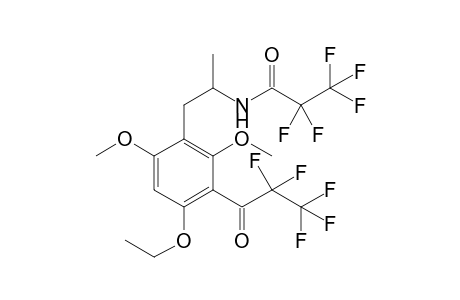 Psi-MEM 2PFP