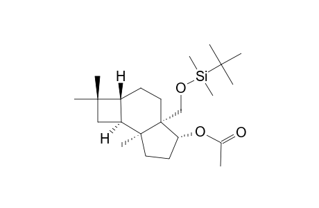 (1S,2S,5R,8R,9R)-8-(TERT.-BUTYLDIMETHYLSILYLOXY)-METHYL-1,4,4-TRIMETHYLTRICYCLO-[6.3.0.0(2,5)]-UNDECAN-9-ALPHA-YL-ACETATE