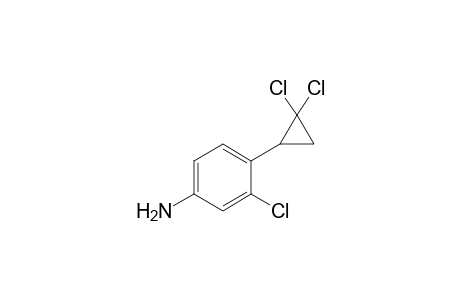 Benzeneamine, 3-chloro-4-(2,2-dichlorocyclopropyl)-
