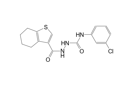 N-(3-chlorophenyl)-2-(4,5,6,7-tetrahydro-1-benzothien-3-ylcarbonyl)hydrazinecarboxamide