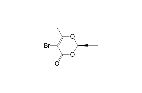 4H-1,3-Dioxin-4-one, 5-bromo-2-(1,1-dimethylethyl)-6-methyl-, (R)-
