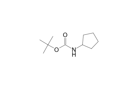 N-cyclopentylcarbamic acid tert-butyl ester
