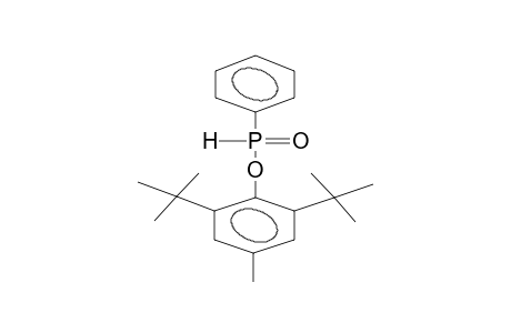 O-(2,6-DI-TERT-BUTYL-4-METHYLPHENYL)PHENYLPHOSPHINATE
