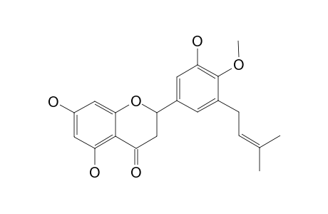 4'-O-METHYLSIGMOIDIN;3',5,7-TRIHYDROXY-4-METHOXY-5'-PRENYLFLAVANONE