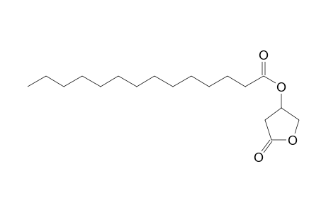 Myristylcarnitine oxylactone