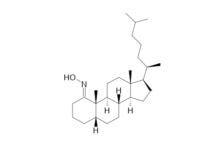 5.beta.-Cholestan-1-one-oxime