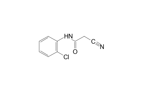 2'-chloro-2-cyanoacetanlllde