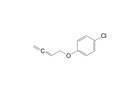 1-Buta-2,3-dienoxy-4-chloranyl-benzene