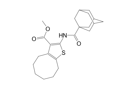methyl 2-[(1-adamantylcarbonyl)amino]-4,5,6,7,8,9-hexahydrocycloocta[b]thiophene-3-carboxylate