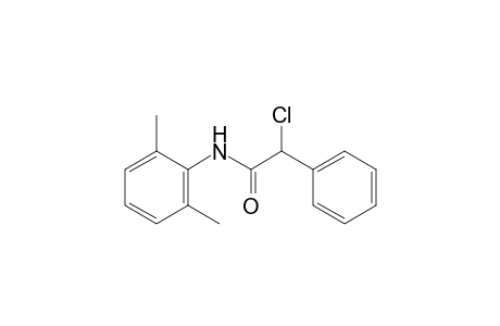 2-chloro-2-phenyl-2',6'-acetoxylidide