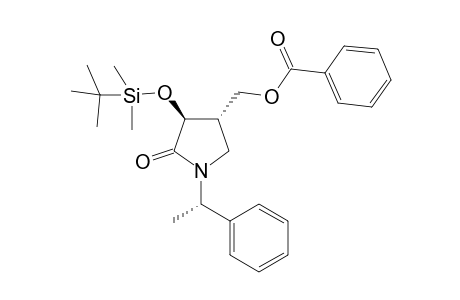 (3S,4S,1'S)-3-t-Butyldimethylsiloxy-4-benzoyloxymethyl-1-(1'-phenylethl)pyrrolidin-2-one