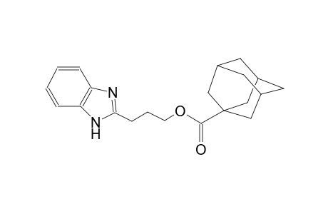 3-(1H-benzimidazol-2-yl)propyl 1-adamantanecarboxylate