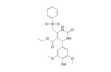5-pyrimidinecarboxylic acid, 1,2,3,4-tetrahydro-4-(4-hydroxy-3,5-dimethoxyphenyl)-2-oxo-6-[(phenylsulfonyl)methyl]-, ethyl ester