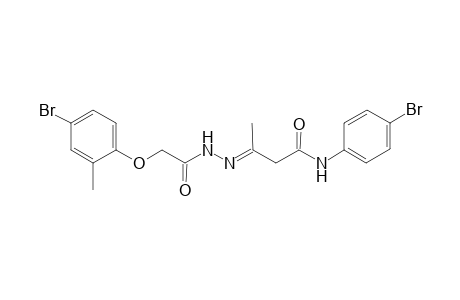 (3E)-3-[2-(4-bromanyl-2-methyl-phenoxy)ethanoylhydrazinylidene]-N-(4-bromophenyl)butanamide