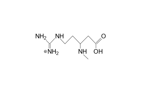 N-Methyl.beta.-arginine cation