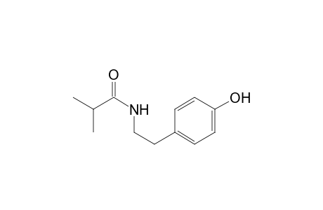 N-[2-(4-Hydroxyphenyl)ethyl]-2-methylpropanamide