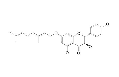 3,4',5-TRIHYDROXY-7-(E-3,7-DIMETHYLOCTA-2,6-DIENYLOXY)-FLAVANONE