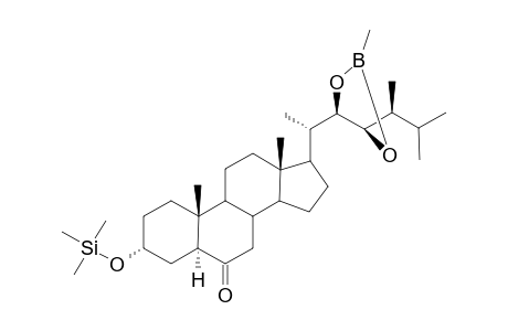 Typhasterol methaneboronate-trimethylsilyl ether dev.